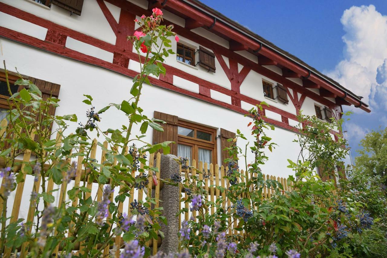 Appartamento Jurahaus Hirschberg Beilngries Esterno foto